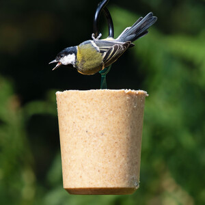 DIF-TIN TUBO DE SEBO CON INSECTOS 800G_1