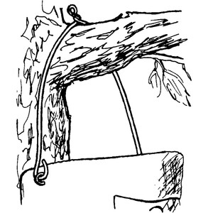 1B-26 CAJA NIDO PARA HERRERILLOS Y CARBONEROS GARRAPINOS 4