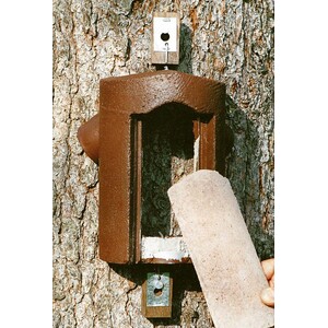 2B CAJA NIDO PARA AGATEADOR_1