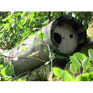 NR 20A CAJA NIDO PARA MOCHUELO CON PROTECCIÓN ESPECIAL PARA DEPREDADORES_1