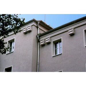 1MF CAJA NIDO DOBLE PARA VENCEJOS Y MURCIÉLAGOS 3