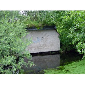 CAJA NIDO PARA MARTÍN PESCADOR O AVIÓN ZAPADOR 4