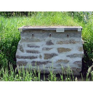 CAJA NIDO PARA MARTÍN PESCADOR O AVIÓN ZAPADOR 5