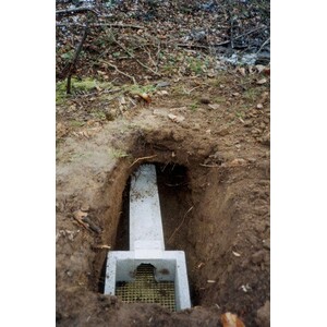 CAJA NIDO PARA MARTÍN PESCADOR O AVIÓN ZAPADOR 6