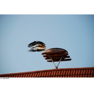 CESTA DE MIMBRE PARA CIGÜEÑAS 3