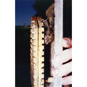 2F-D CAJA NIDO PARA MURCIÉLAGOS DOBLE PARED 3