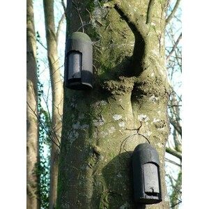 2FN CAJA NIDO ESPECIAL CON DOS ENTRADAS PARA MURCIÉLAGOS 3