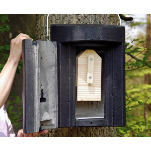 1FW REFUGIO DE INVIERNO PARA MURCIÉLAGOS 3