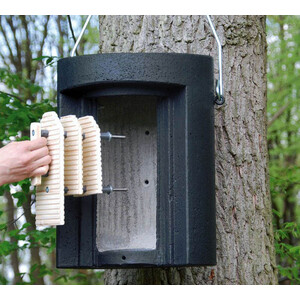 1FW REFUGIO DE INVIERNO PARA MURCIÉLAGOS 4