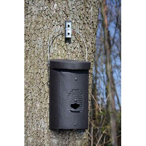 1FS CAJA NIDO PARA COLONIAS DE MURCIÉLAGOS_1