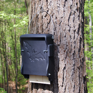 1FF REFUGIO PARA MURCIÉLAGOS_1