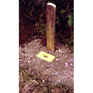 PANAL SUBTERRÁNEO PARA ABEJORROS 5