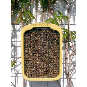 NIDO PARA HIMENÓPTEROS CON CAÑA DE CARRIZO 3