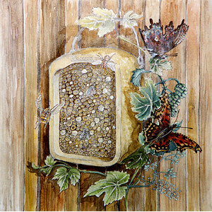 NIDO PARA HIMENÓPTEROS CON CAÑA DE CARRIZO 4