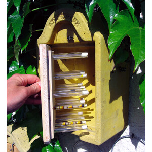 NIDO PARA HIMENÓPTEROS ESPECIAL PARA OBSERVAR LAS LARVAS 3