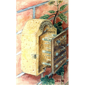 NIDO PARA HIMENÓPTEROS ESPECIAL PARA OBSERVAR LAS LARVAS 4