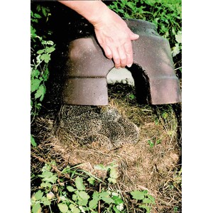 REFUGIO PARA ERIZOS_1