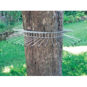 CINTURÓN DE PÚAS CONTRA DEPREDADORES DE CAJAS NIDO. GRANDE_1