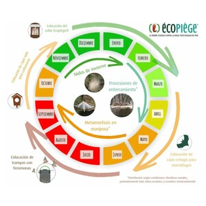 ECOPIEGE 30CM COLLAR PARA EL CONTROL DE LA ORUGA DE LA PROCESIONARIA 3