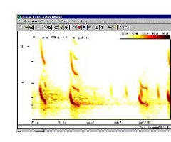 PROGRAMA INFORMÁTICO DE ANÁLISIS DE LOS GRITOS DE MURCIÉLAGOS PETTERSSON BATSOUND REAL-TIME SPECTROGRAM ANALYSIS, version 4.7                         
