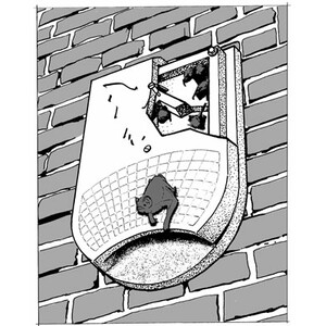 1FQ REFUGIO PARA MURCIÉLAGOS 5