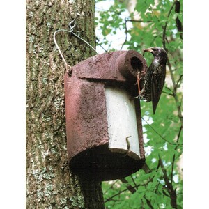 3SV ENTRADA 45MM CAJA NIDO ANTIDEPREDADORES PARA TORCECUELLO Y OTRAS ESPECIES_1