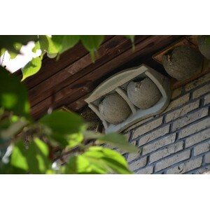 NR 11 TERRAZA PARA AVIÓN COMÚN 5