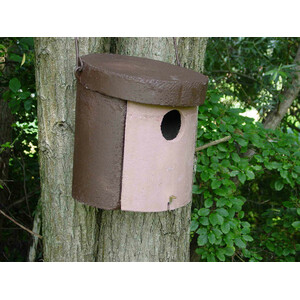 1CGA CAJA NIDO PARA CARRACA_1