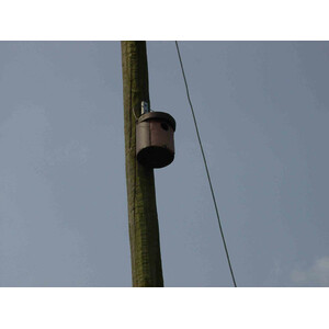 1CGA CAJA NIDO PARA CARRACA 3