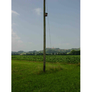 1CGA CAJA NIDO PARA CARRACA 6