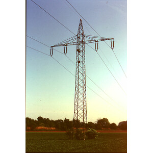 Nº 29 CAJA NIDO PARA GRAJILLA_1