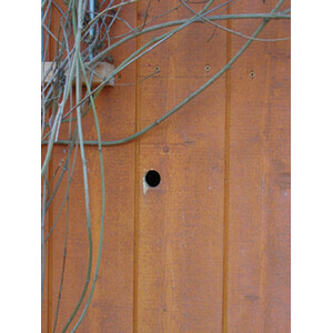 NIDO LADRILLO PARA PÁRIDOS TYP 24_1