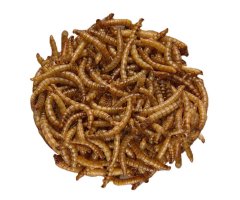 GRANA-MRL-90 LARVAS DE TENEBRIOS DESHIDRATADAS 90G 2