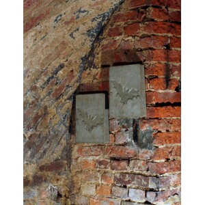 2FE PANEL PARA FACHADAS PARA MURCIÉLAGOS (2 UNID.)_1