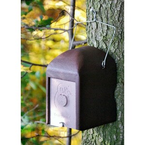 1KS CAJA NIDO PARA LIRONES 3