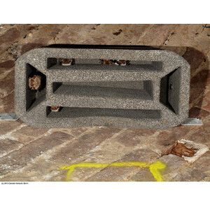 1GS REFUGIO PARA MURCIÉLAGOS 4