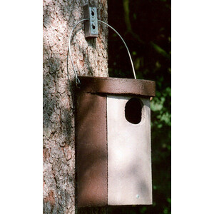 NR. 4A CAJA NIDO PARA AUTILLO_1