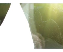 BIRDSTICKER SOBRE DE 5 ADHESIVOS TRANSPARENTES QUE PREVIENE EL CHOQUE DE PEQUEÑAS AVES EN CRISTALES 2