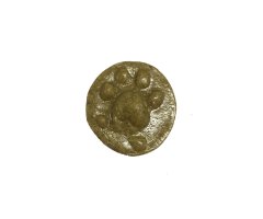 MOLDE HUELLA MANO GENETTA GENETTA (JINETA/GINETA, GENETA, ALGARIA, KATA JINETA)