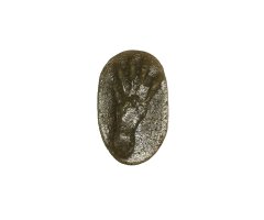 MOLDE HUELLA PIÉ SCIURUS VULGARIS (ARDILLA, ESQUIROL, ESQUÍO, KATAGORRI ARRUNTA)