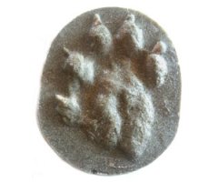 MOLDE HUELLA PIE LUTRA LUTRA (NUTRIA, LLÚDRIGA, LONDRA, IGARABA ARRUNTA) 