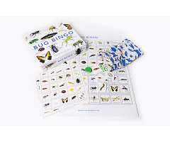 BUG BINGO - BINGO D INSECTES - BINGO DE INSECTOS 2