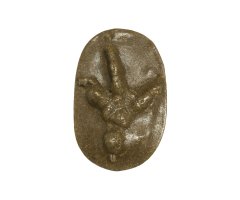 MOLDE HUELLA GYPS FULVUS (BUITRE LEONADO, VOLTOR COMÚ, VOITRE COMÚN, SAI ARRE)