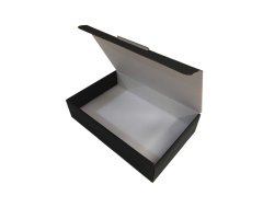 CAJA DE CARTÓN CON BASE DE FOAM PARA GUARDAR INSECTOS                                                                                                  2