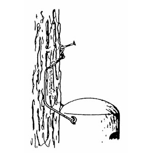 3FN CAJA NIDO ESPECIAL DE ENTRADA ESTRECHA 5