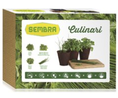 KIT DE HORTICULTURA URBANA \