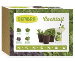 KIT DE HORTICULTURA URBANA \