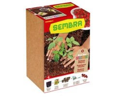 KIT DE HORTICULTURA URBANA \