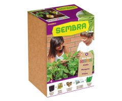 KIT DE HORTICULTURA URBANA \