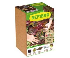 KIT DE HORTICULTURA URBANA \